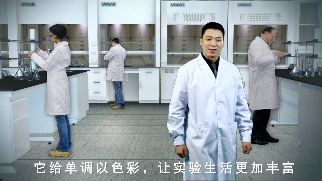沃尔莱博第二版