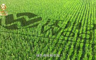 沃丹夫农业宣传片